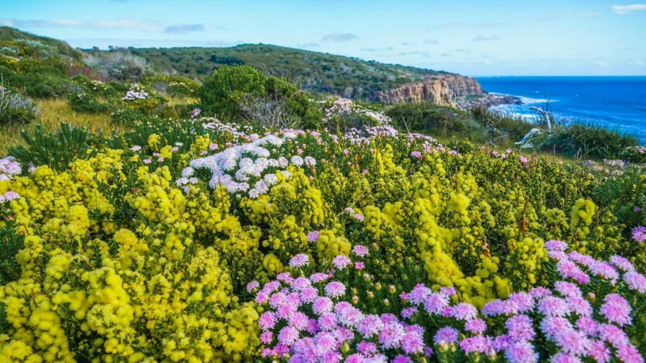 By The Sea Margaret River Gnarabup المظهر الخارجي الصورة