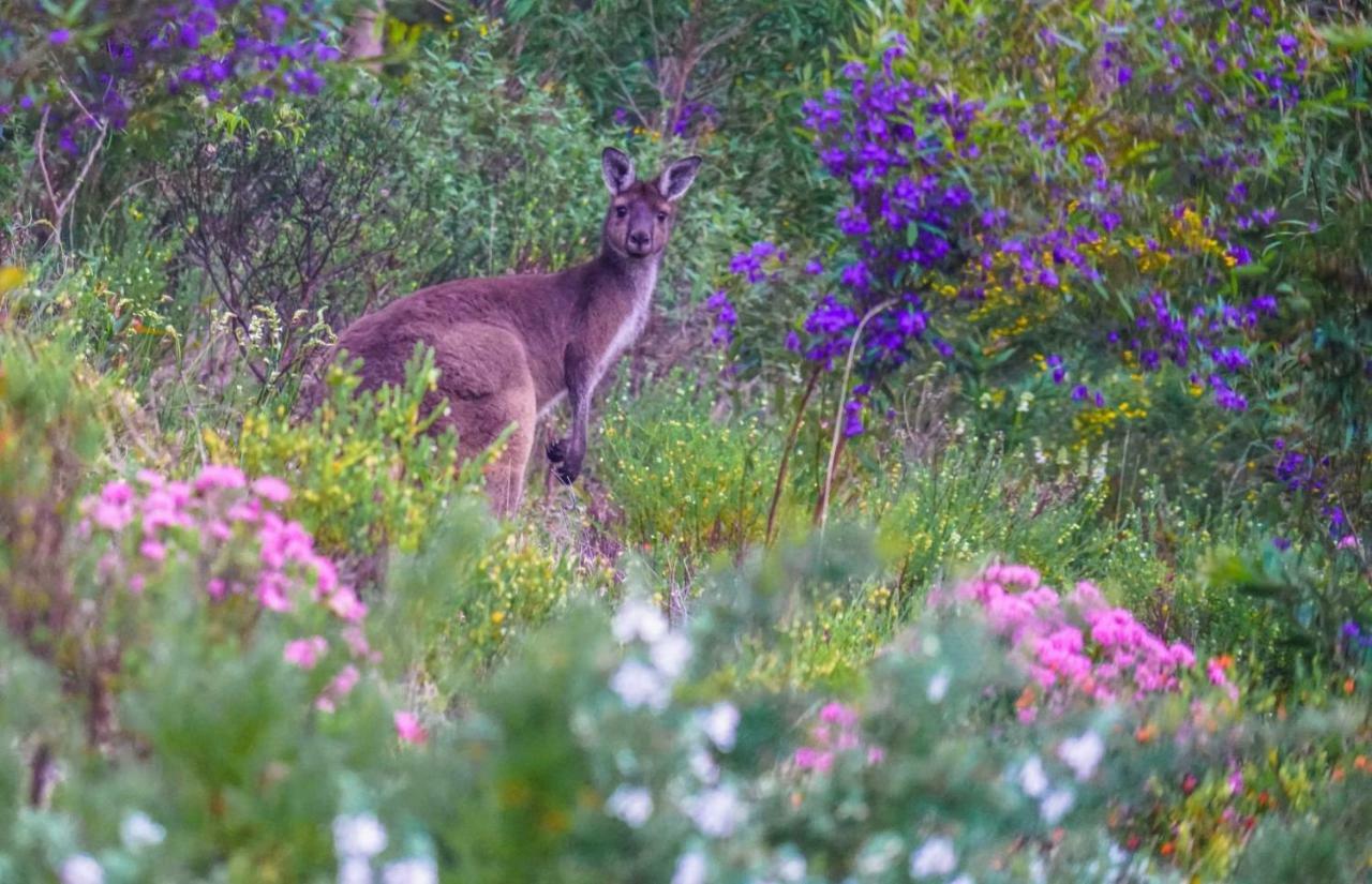 By The Sea Margaret River Gnarabup المظهر الخارجي الصورة